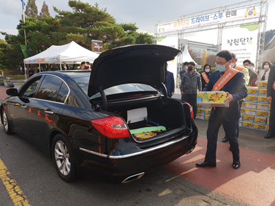 창원단감축제용 단감 1000박스 `완판`