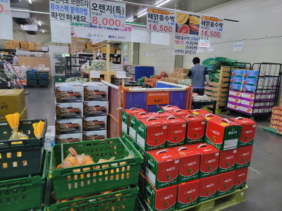 밀양시， 부담없이 즐기는 `미니수박` 재배