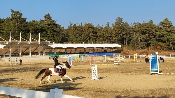 가야유소년승마단, 제9회 영천대마기 전국종합마술대회 다수 입상