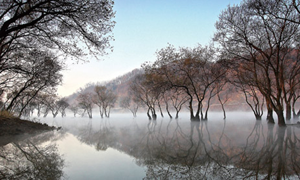 [설 특집] 설 연휴 대전에서 즐기자