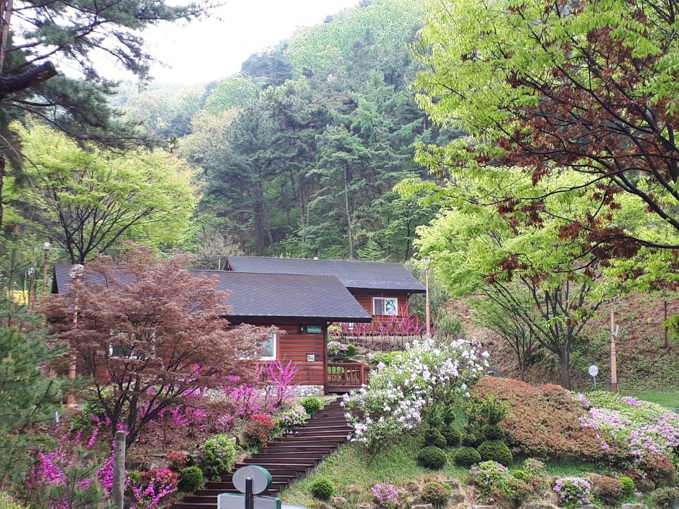 예산 봉수산자연휴양림 새단장