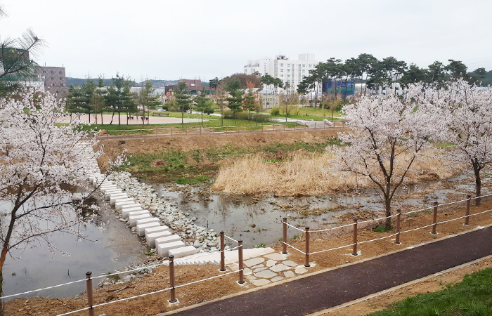 서산시, 테크노밸리 내 성연천 산책로 조성 완료