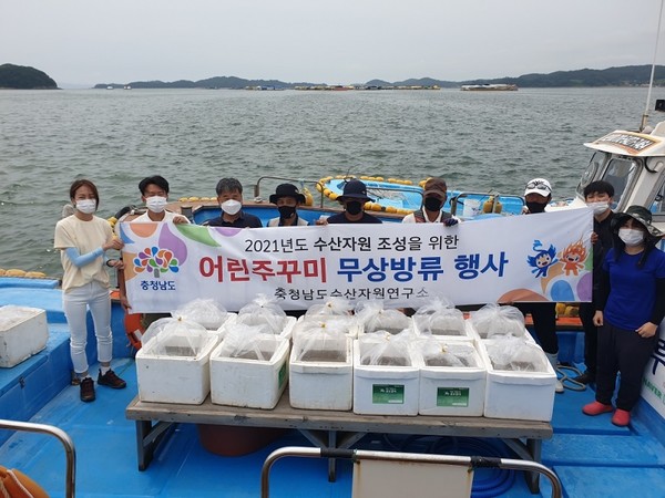 충남도 수산자원연구소  어린주꾸미 종자 방류