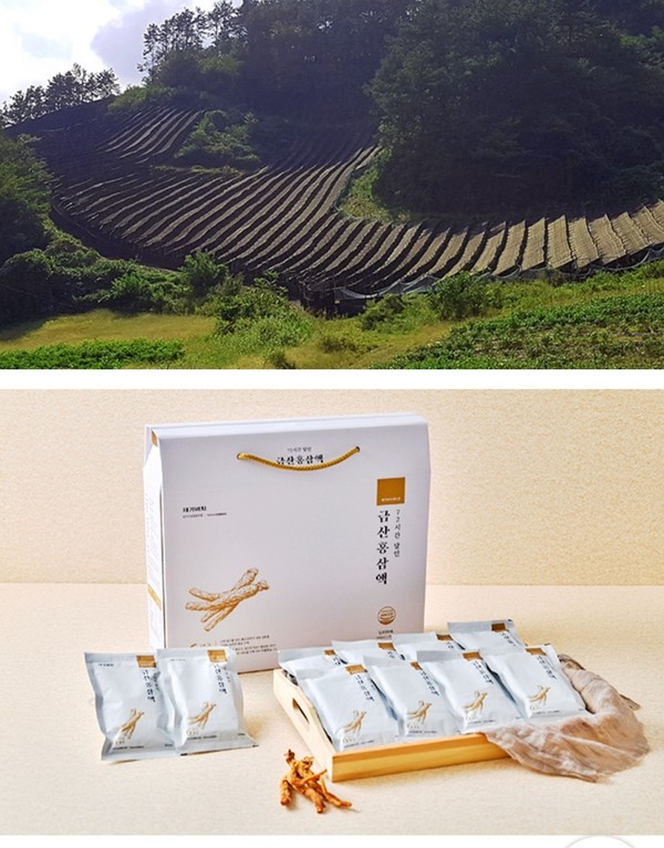 금산인삼협동조합과 카카오메이커스, 금산 인삼 판로 개척