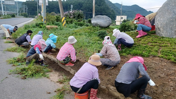 서천군 종천면 종천1리, 더 깨끗하게 만들어가요