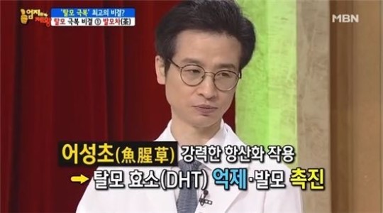 반지의제왕, 어성초 탈모방지 효과 그렇게 좋나?