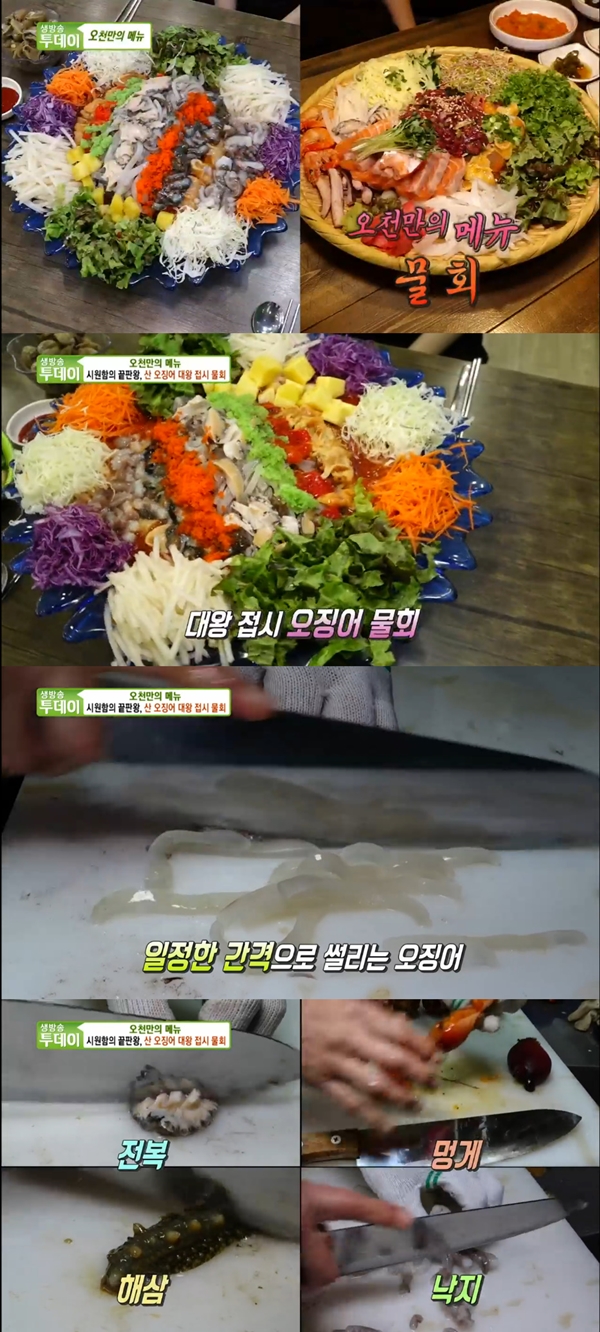 생방송투데이 산오징어 대왕 접시 물회 신선 해산물+숙성 양념 [TV캡처]