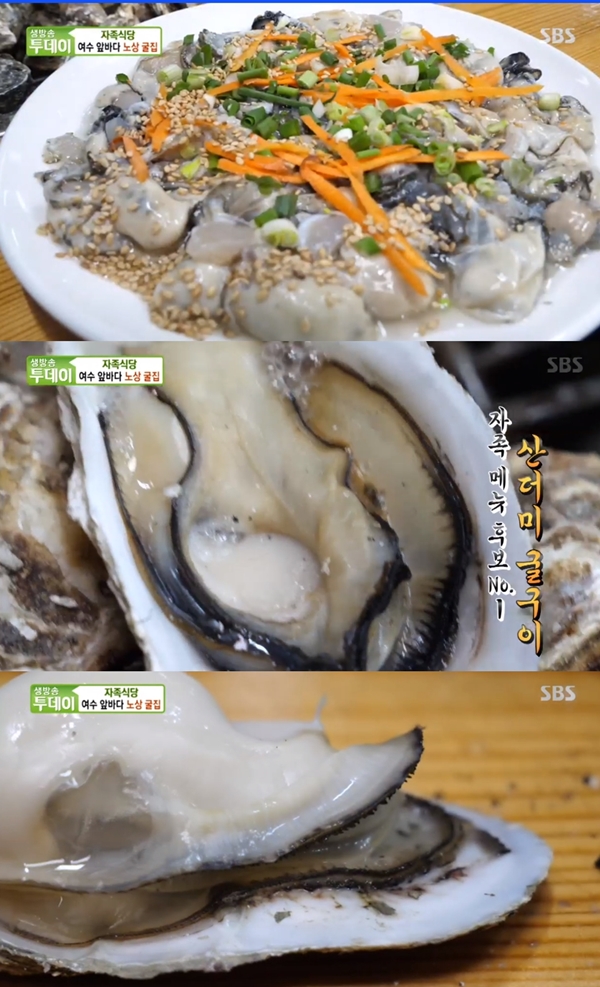 생방송투데이 자족식당 여수 굴구이 맛집, 일반 굴보다 크지만 담백한 맛 [TV캡처]