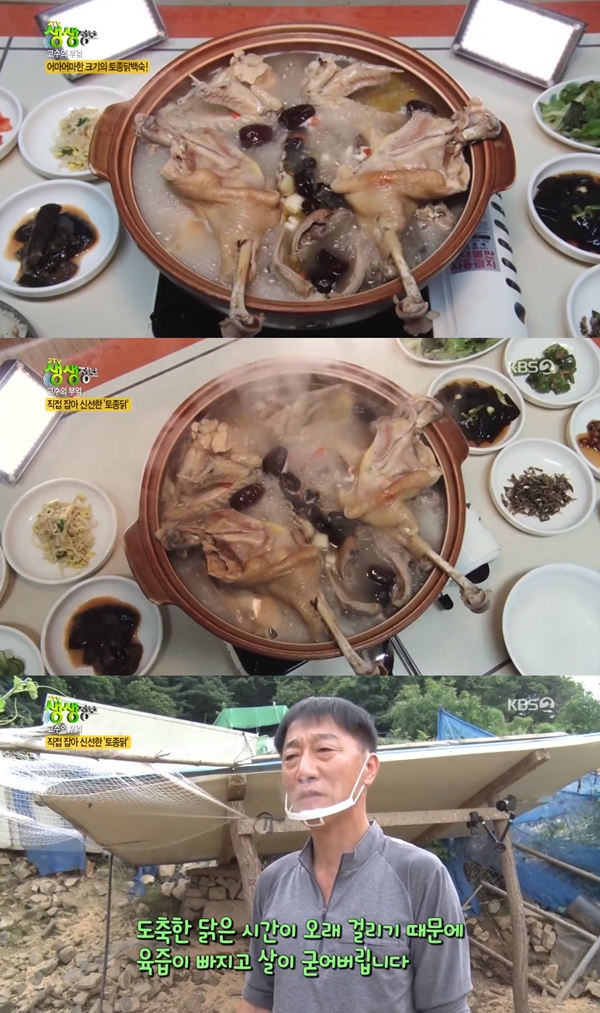생생정보 가마솥 백숙, 직접 키운 토종닭+참나무 장작 [TV캡처]