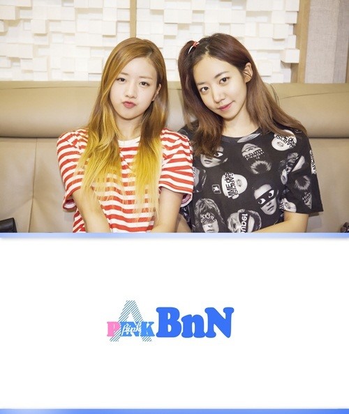 에이핑크 새 유닛 핑크비엔엔, 주인공은 보미&남주