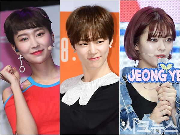 모모랜드 혜빈·한예리·트와이스 정연 숏컷 헤어 추천 ‘허밍컷 VS 코튼펌 VS 보니컷’     