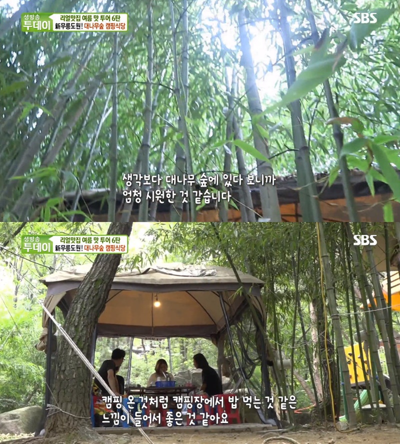 생방송 투데이 대나무숲 캠핑식당, 바비큐+수영장+탁구장 완비…위치는?