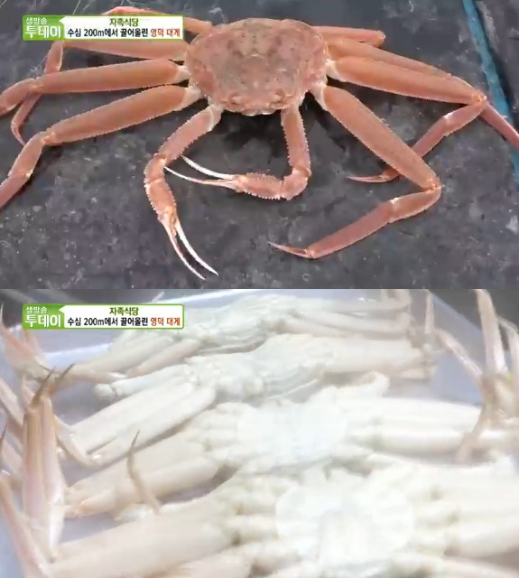 ‘생방송 투데이’ 자족식당 대게찜+대게 라면, 깊은 맛 자랑하는 이곳은 어디?