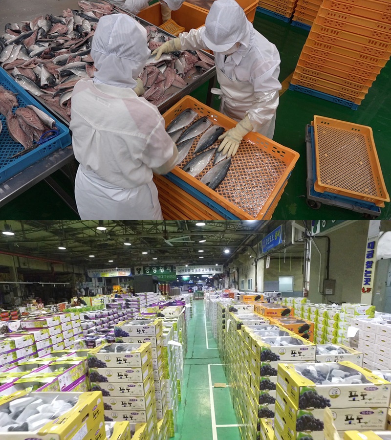 ‘극한직업’ 농수산물시장, 유통위한 치열한 24시 ‘공개’