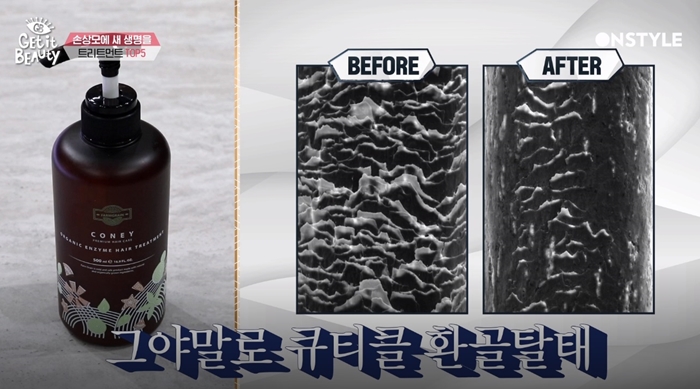 겟잇뷰티 2018, 패널들이 추천한 뷰라벨 헤어트리트먼트 헤어팩