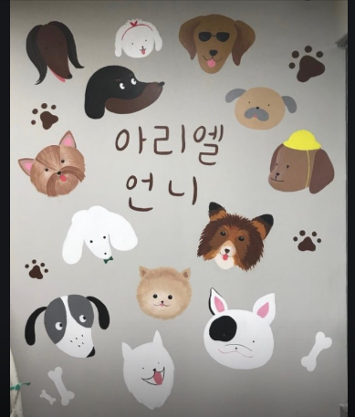 수원 애견 카페 아리엘언니, 전문가 24시간 상주로 안심하는 견주들