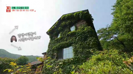 EBS 건축탐구 집 지숙경 도예가의 안성 담쟁이덩굴 집ㆍ포항 분지 사과농장 하우스, 시원한 여름 부탁해
