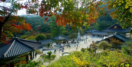 남한강 버드나무나루께길ㆍ양평 두물머리ㆍ용문사, 용문산의 가을 만끽하다(영상앨범 산)
