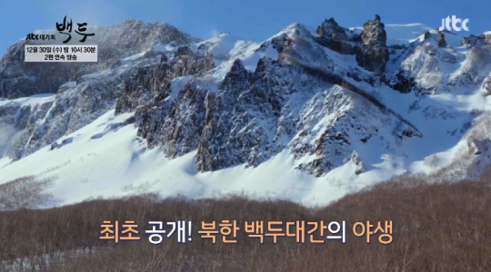 백두산 호랑이부터 황어까지 백두산ㆍ개마고원ㆍ양의대습지 야생 최초 공개(백두)