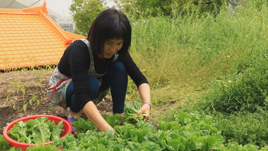 한국기행 군산 신시도 밥주는 민박집, 섬시네끼 힐링 여행