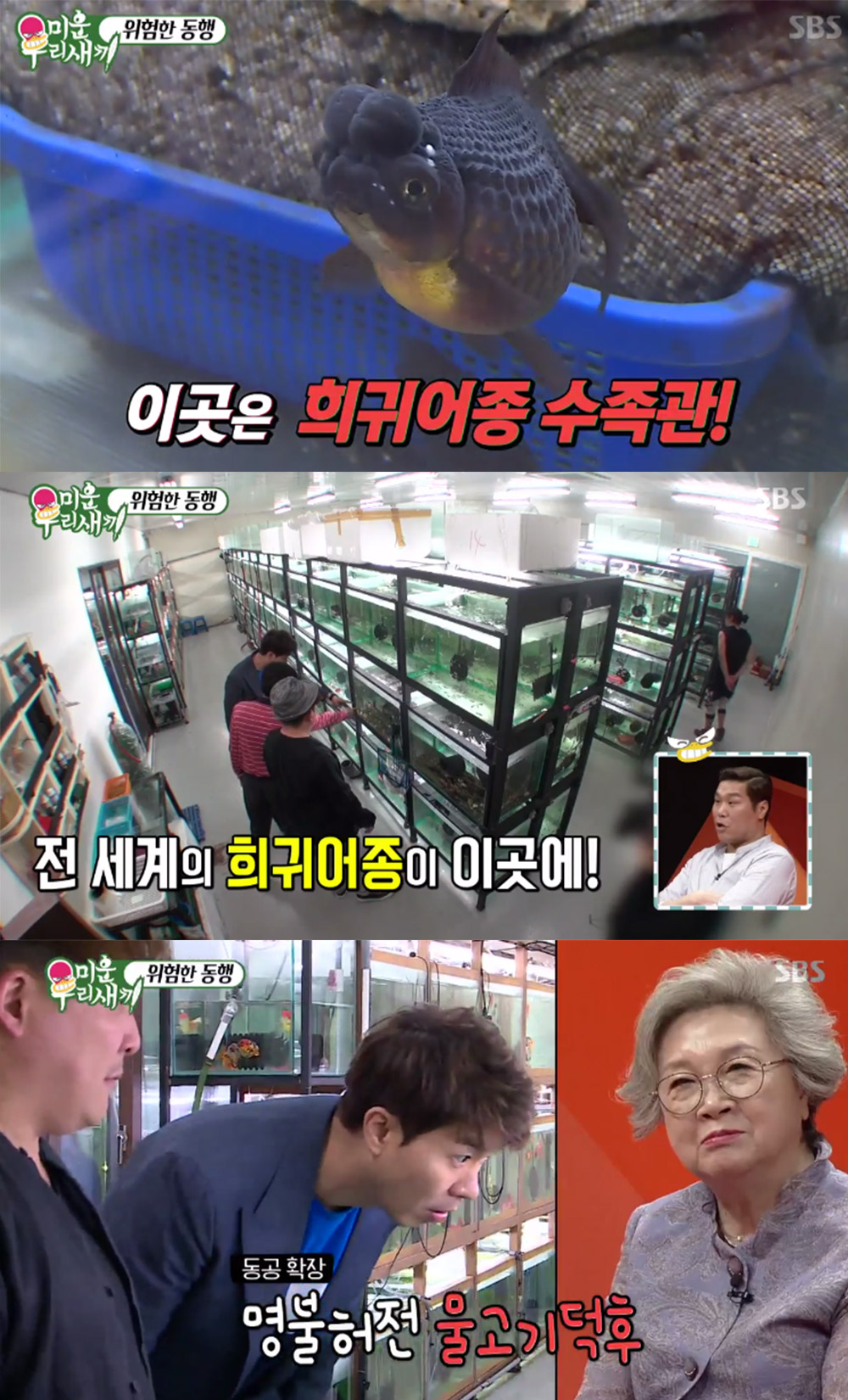 [예능리뷰] ‘미운 우리 새끼’ 박수홍, ‘워터독’ 플라워 혼 소개로 시선 강탈