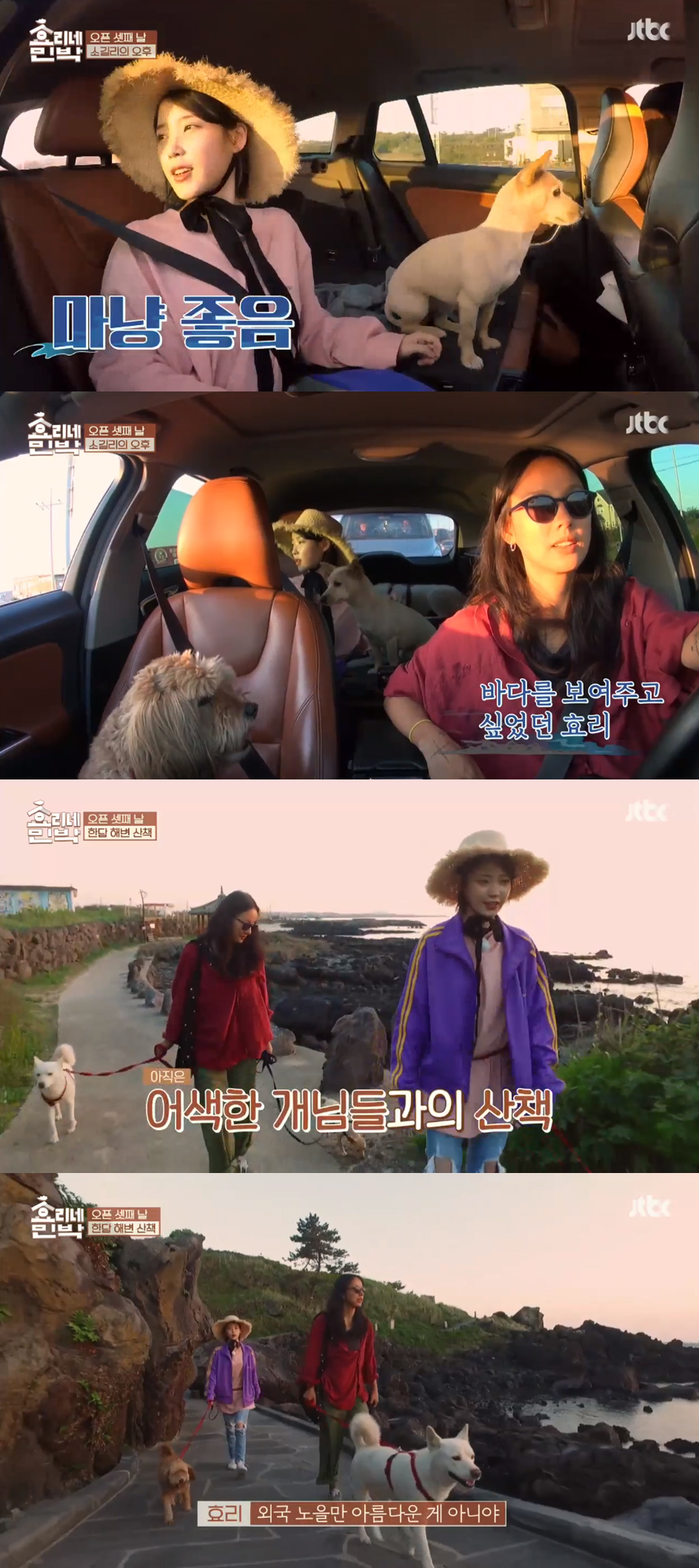 [예능리뷰] ‘효리네 민박’ 아이유, 이효리와 함께 제주도 산책길 “너무 아름다워요”
