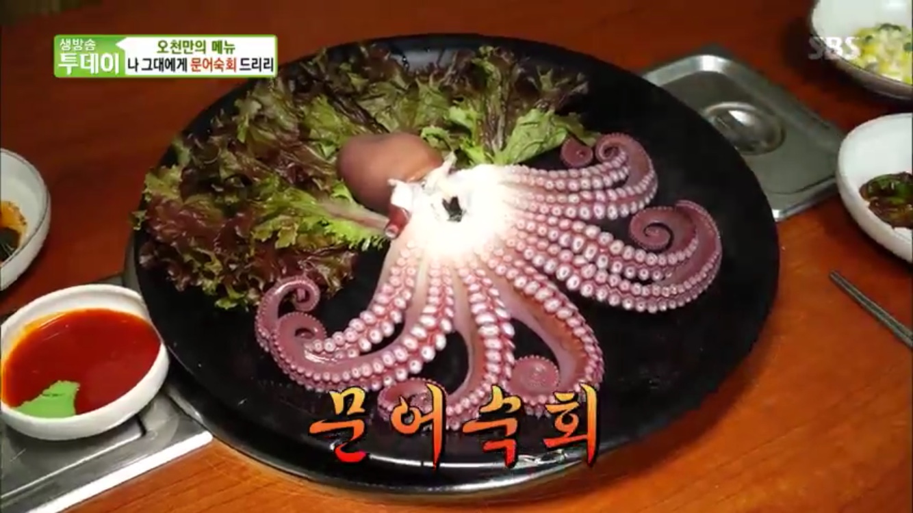 생방송 투데이-오천만의 메뉴 강원도 속초 맛집 천하일미…싱싱한 문어숙회