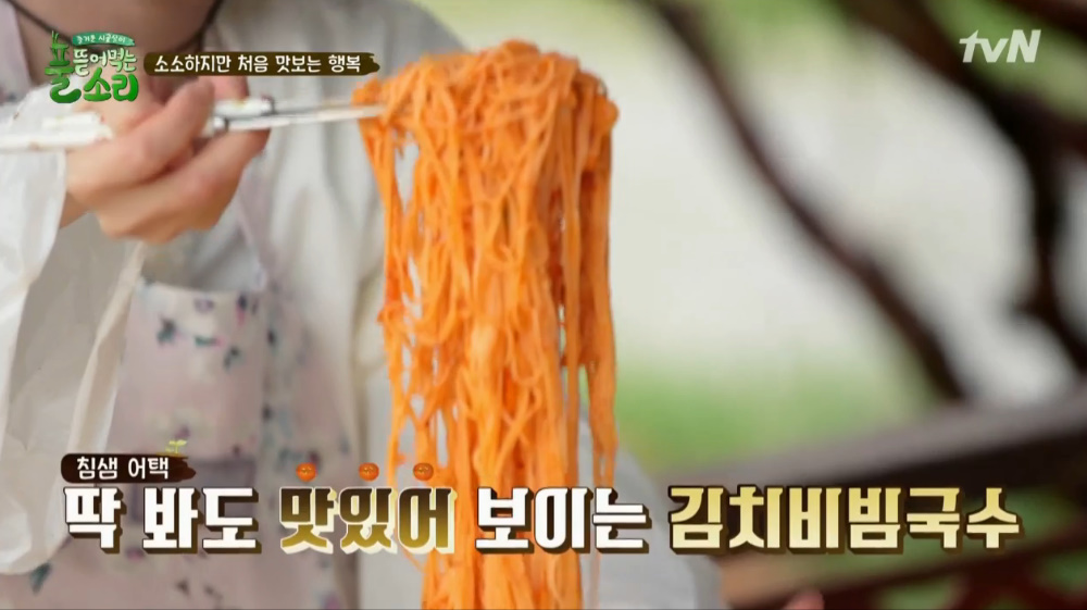 풀 뜯어먹는 소리 송하윤 표 김치비빔국수, 이진호 표 부추전…비오는 날 맛깔 나는 새참 먹방 침샘 자극…일하고 먹는 참은 맛 없는 게... 
