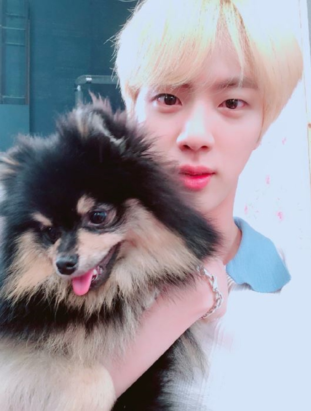 방탄소년단(BTS) 진, 지민의 반려견 탄이와 함께…비주얼 실화?