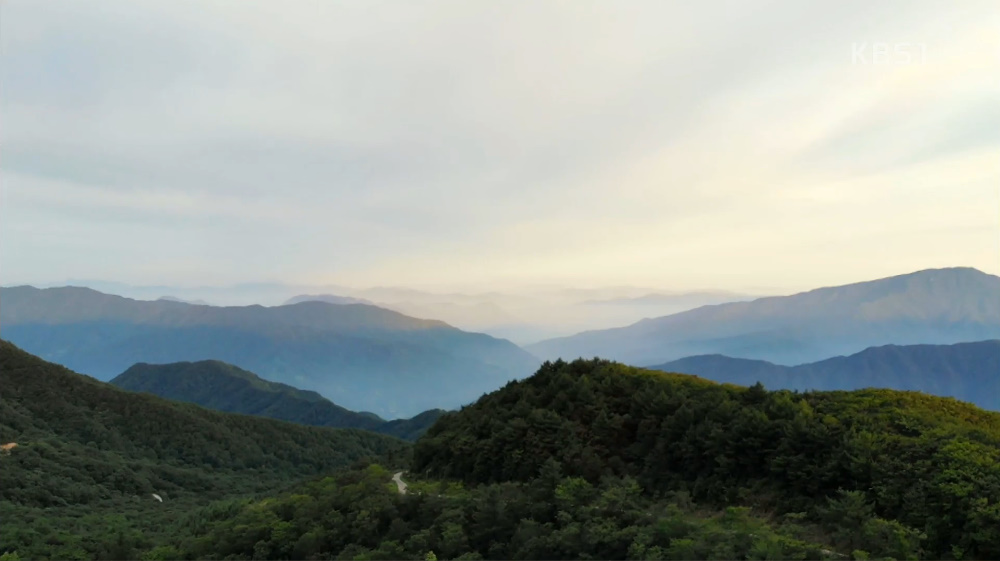 인간극장 엄마는 나의 힘 4부, 하동 지리산 절경을 명당에서 한 눈에 가족 나들이…여기서 살 수 있게 돼 고마워