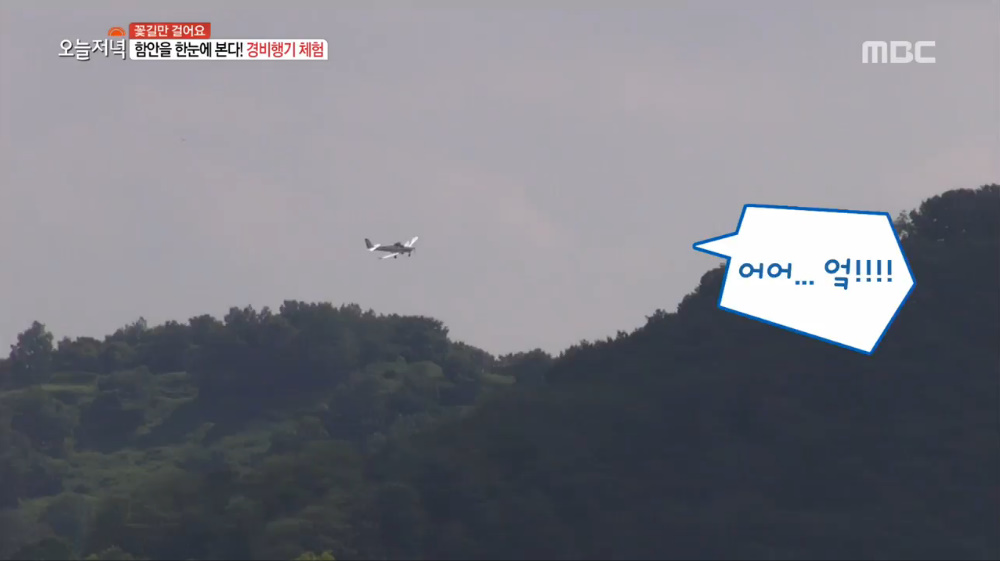 송이 황금빛 해바라기밭, 스릴 넘치는 경비행기 체험, 700년 된 연꽃밭, 곶감이 들어간 함안 불빵, 여항산의 숨은 명소 별천계곡 등