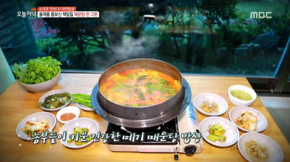 생방송 오늘 저녁 양평 메기매운탕 맛집, 1급수 싱싱함에 유기농 미나리과 특제 양념 첨가…사장 7명 조합 형태, 시골마을 정성 한 가득
