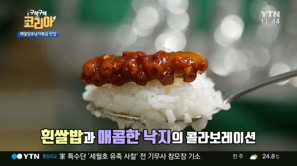구석구석 코리아 경남 사천 해물탕&낙지볶음 맛집, 아비가일 먹방 싱싱함 느껴져 감동