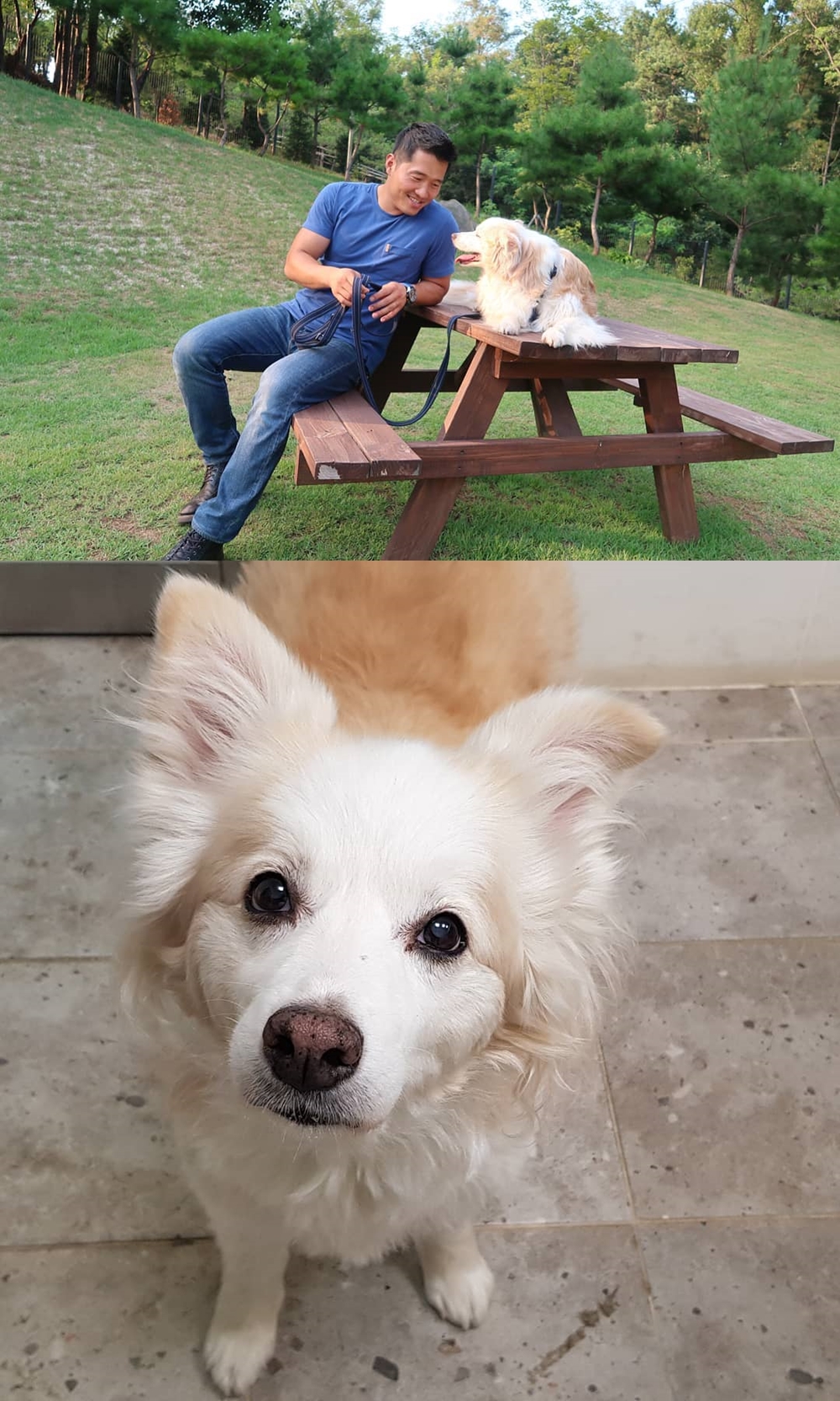 강형욱, 반려견 다올이 소식 알려…만약 내 개가 죽으면 어떡하죠