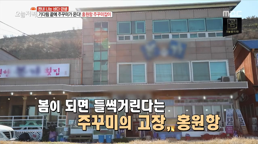생방송 오늘 저녁 충남 서천 홍원항 맛집, 주꾸미 요리 맛있는 해산물 횟집 침샘 자극
