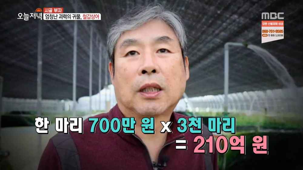 생방송 오늘저녁 캐비아(캐비어) 1kg 1,000만원 가치 함양철갑상어연구소 위치는?