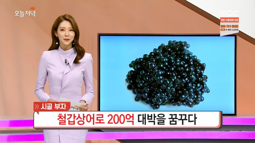 생방송 오늘저녁 캐비아(캐비어) 1kg 1,000만원 가치 함양철갑상어연구소 위치는?