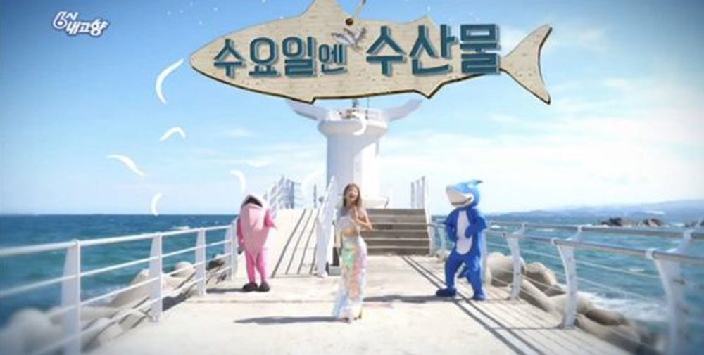 6시 내고향, 충남 금산 추부깻잎담은떡카페부터 강원 정선 다래수액까지…다양한 정보 전해