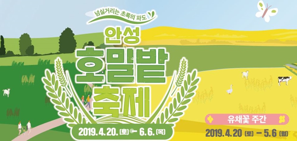 안성팜랜드, 호밀밭·유채꽃 축제 진행 이벤트 궁금증UP…반려견 놀이공원 파라다이스독은?
