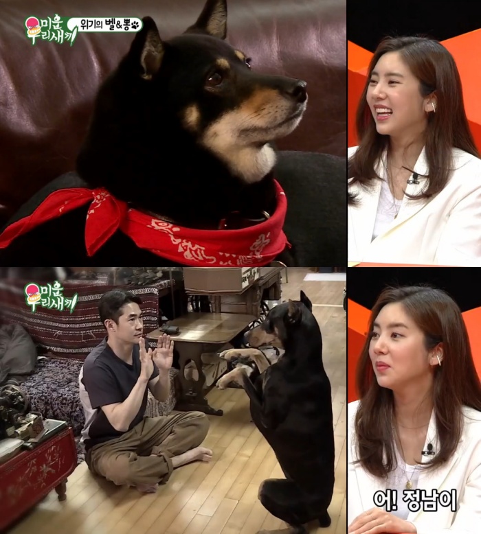 미운우리새끼(미우새) 손담비 공효진·정려원·소이와… 효녀 인증, 犬자매 춘뽕(블랙탄시바 견종)-벨 배정남의 특급 돌봄, 동갑내기 절친... 