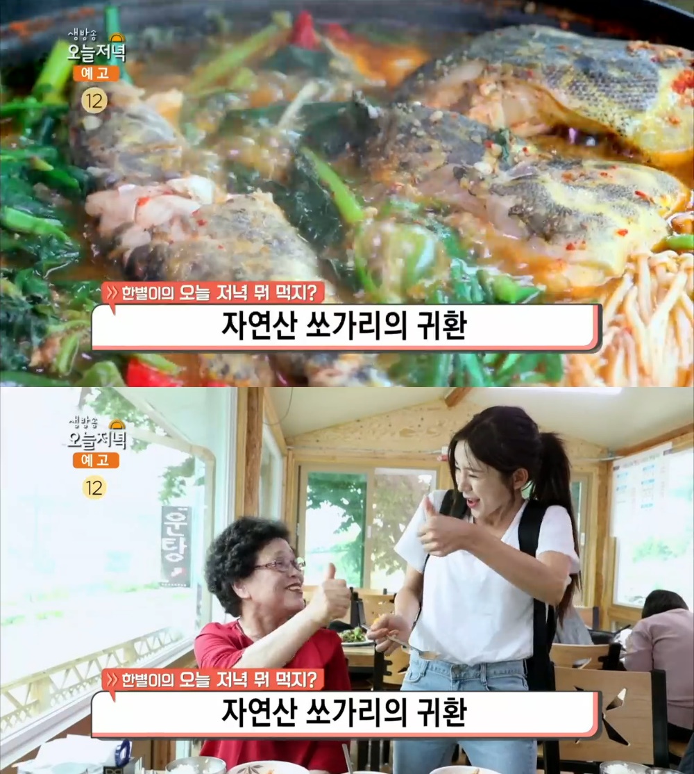 생방송 오늘저녁 단양 자연산 쏘가리 맛집, 농촌여신 BJ 한별이 반한 쏘가리회·민물매운탕 싱싱