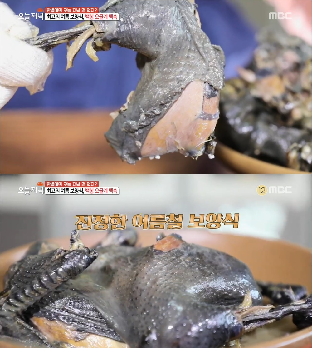 생방송 오늘저녁 경산 백봉오골계 백숙 맛집, 농촌여신 BJ 한별이 반한 여름 보양식!
