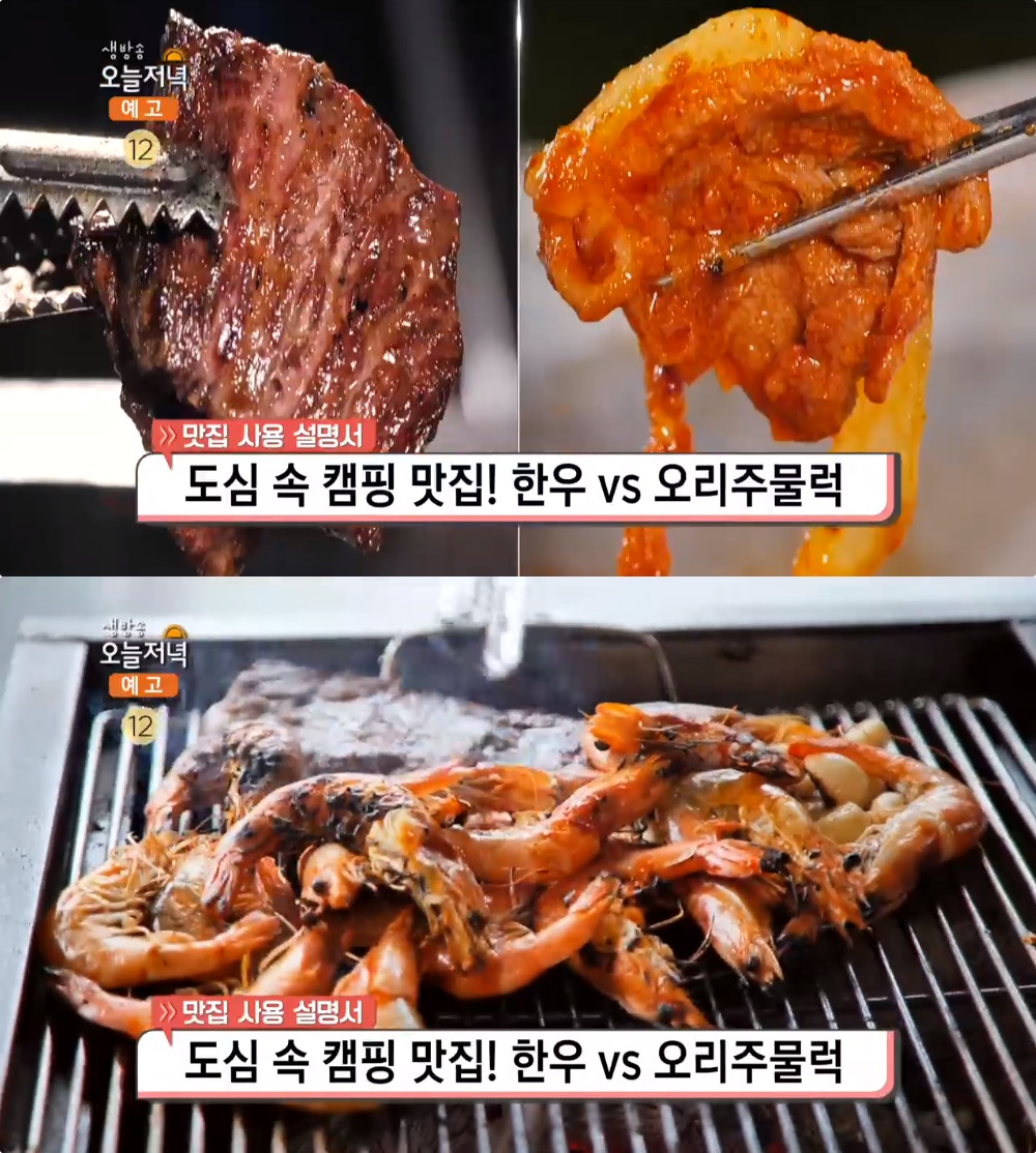 생방송오늘저녁 과천 한우구이 vs 고양 오리주물럭, 경기 도심 속 캠핑 맛집 위치는? 바비큐 재료, 음식, 주류 등 가져와서 드세요!