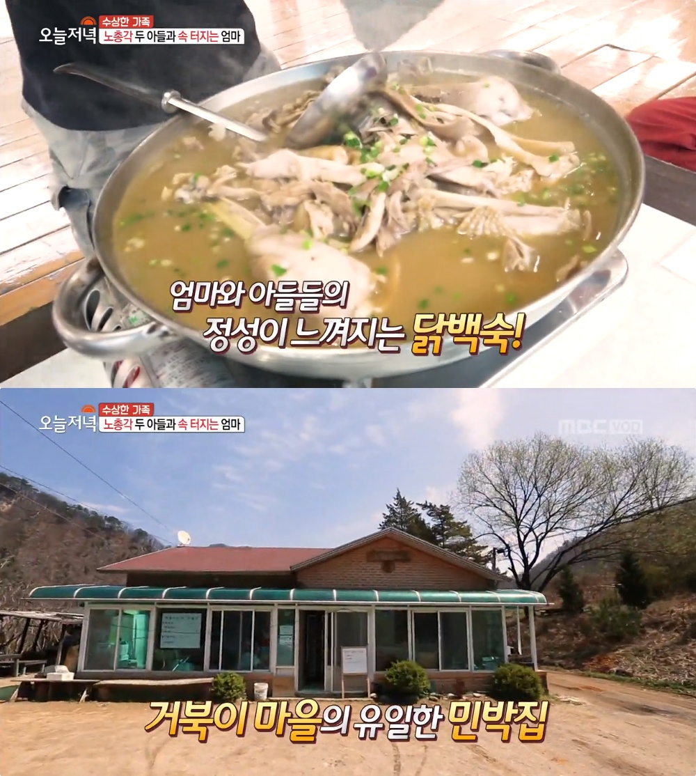 정선 닭백숙 민박 맛집 위치는? 동강 흐르는 강원도 오지 거북이마을 이재화 할머니의 닭볶음탕-옻닭-민물매운탕-아침백반 생방송아침이좋다... 