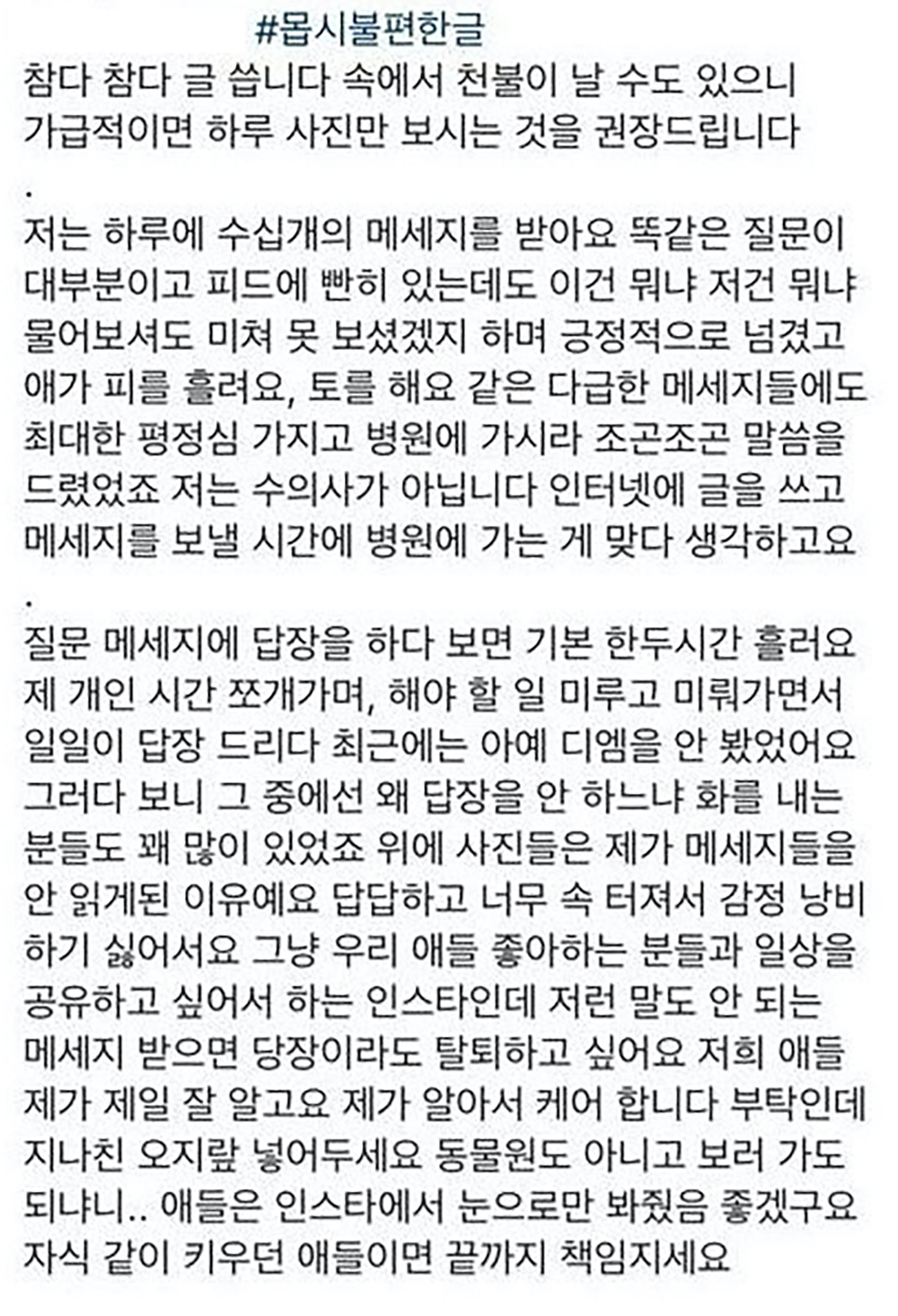 인스타 유명 고양이 주인이 참다 참다 쓴 글…눈으로만 봐달라