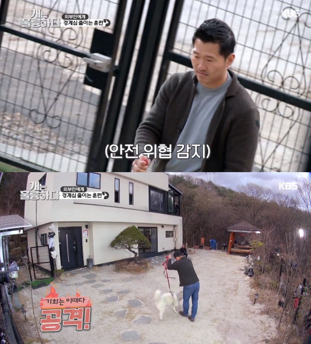 개는 훌륭하다 강형욱, 경계심多 문제견 짜우 공격…눈빛까지 단번에 제압 