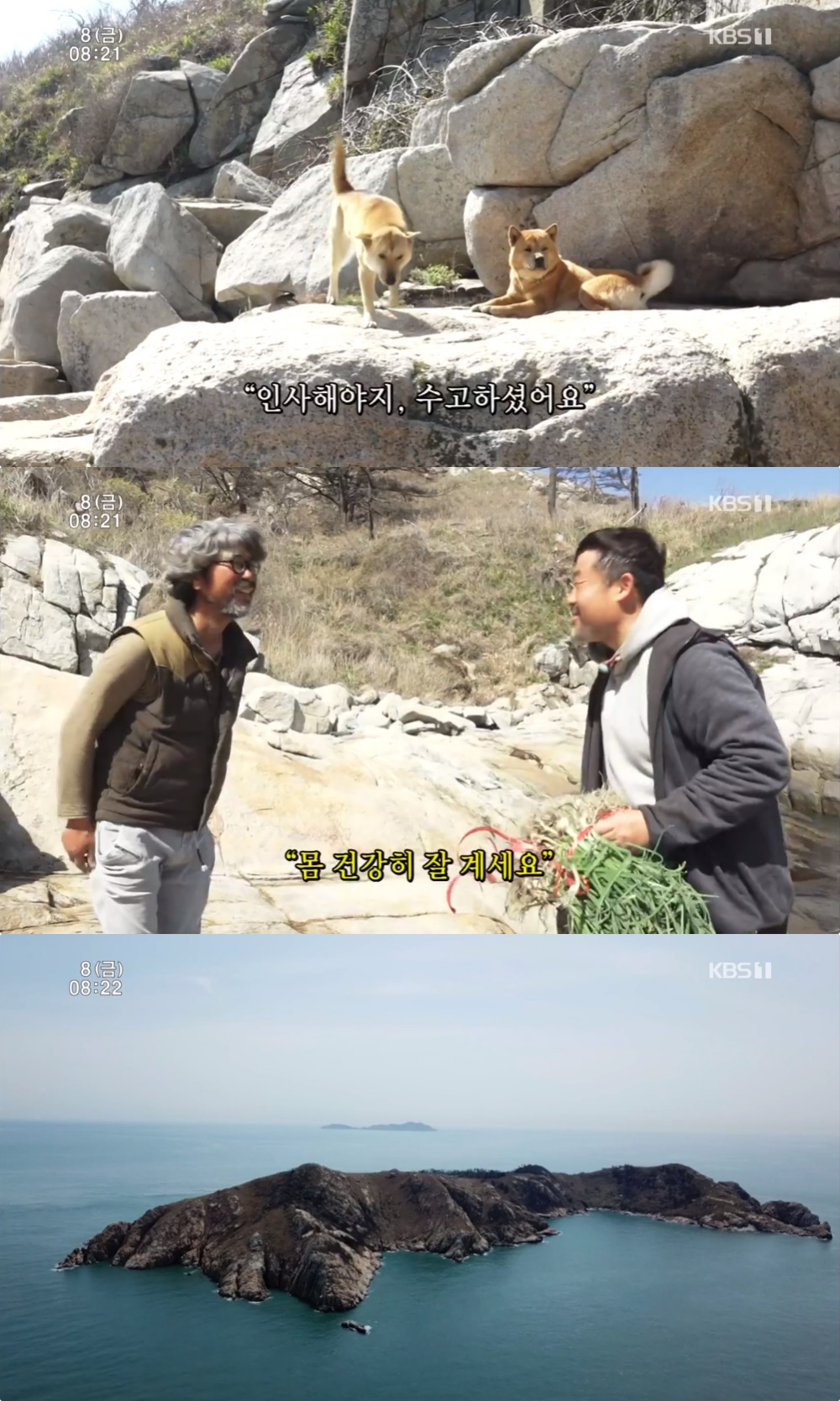 [종합] 인간극장 황도이장 이용오 다시 황도로 간 사나이 완벽 적응 → 유튜버 변신