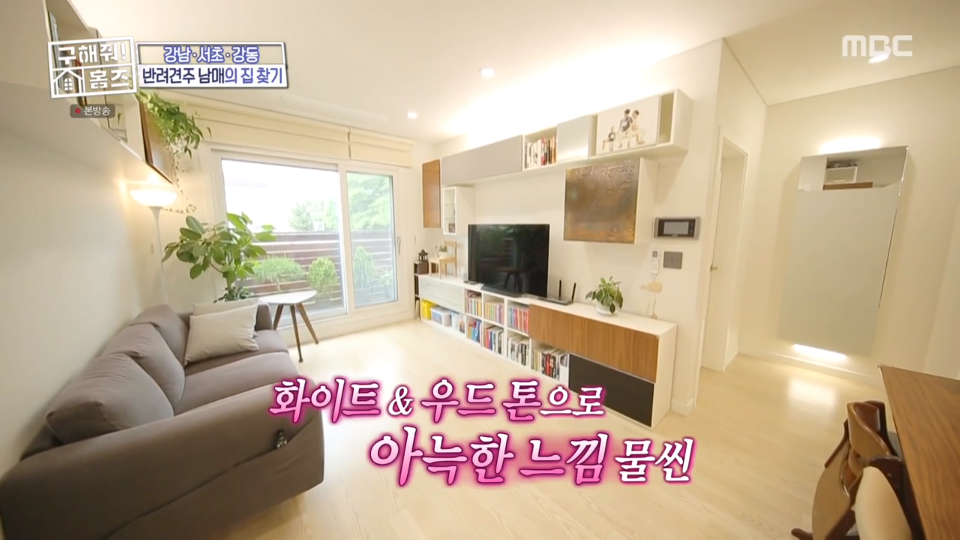 [종합] 구해줘 홈즈 반려견을 위한 옥상정원 하우스....서초구에 이런 뷰가? 신원동 단독주택까지!
