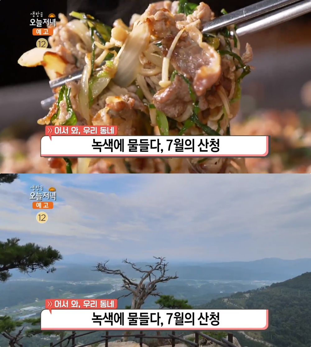 생방송오늘저녁 산청 여행, 타짜 오리불고기 맛집 위치는? 지리산 대원사계곡 → 남사마을 外