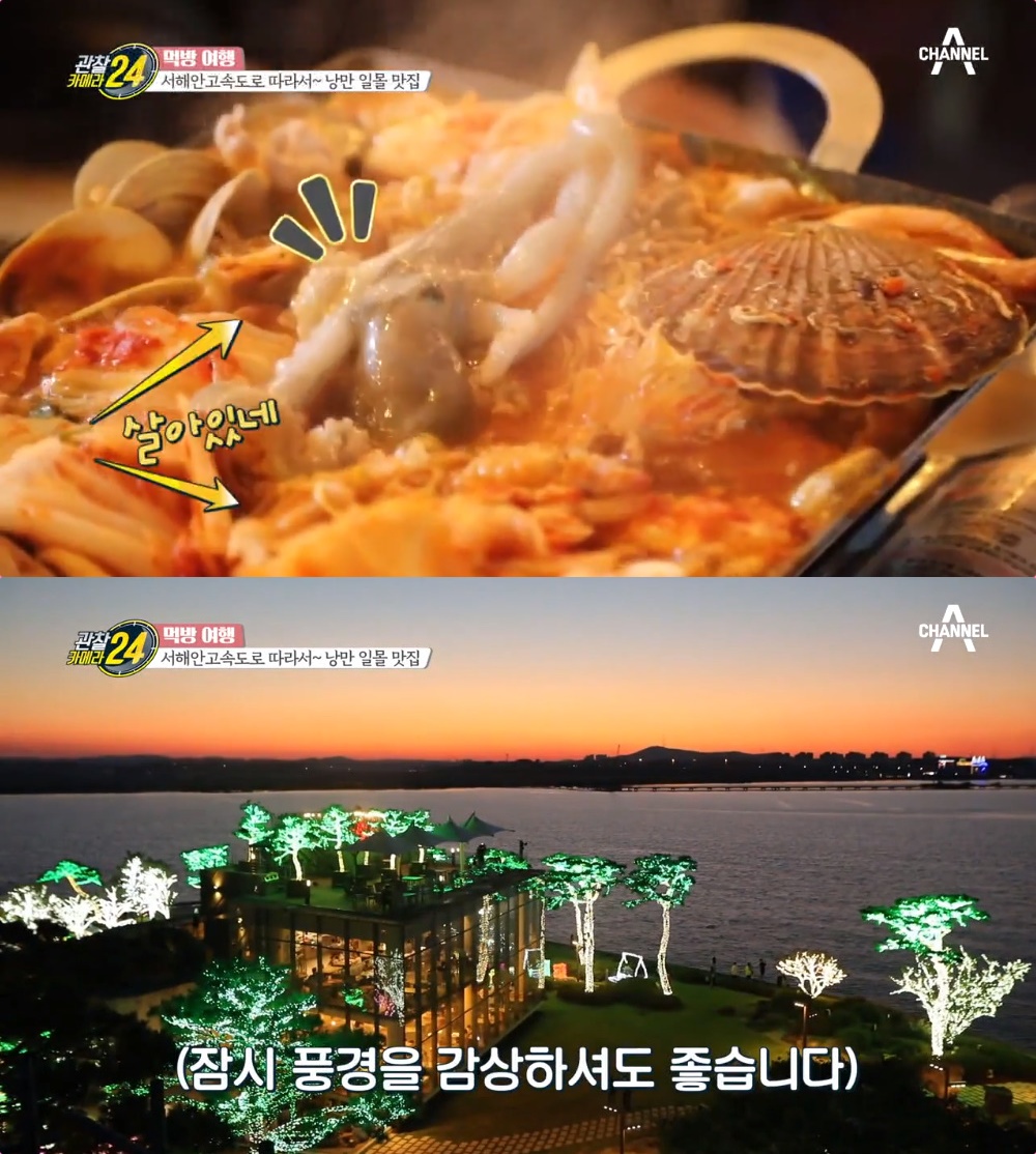 관찰카메라24 당진 서해대교 뷰 카페 vs 목포대교 해물삼합 포차 맛집 위치는? [어제픽]